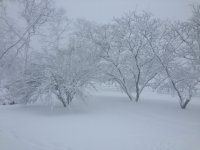 snow3.JPG