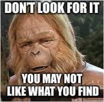 dont look for it.jpg