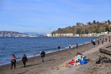 Theresa Arbow-O’Connor.jpg