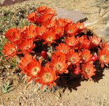 2018-04-29 22.43.50.jpg