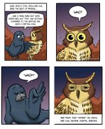 Owl & Crow.jpeg
