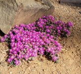 2018-04-29 22.41.40.jpg