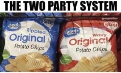 2 Party System.jpg