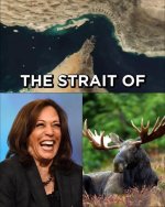 kamala1.jpg