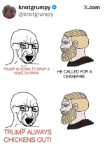 1775615852250.png