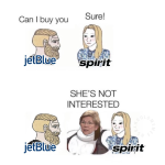spirit2.png
