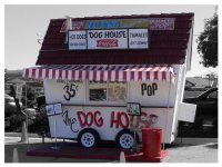 Hot Dogs.jpg