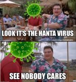 hanta1.jpg