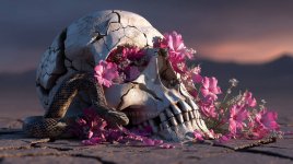 desert remains.jpg