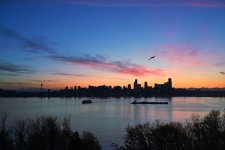 Seattle.jpg
