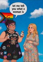 trans37.jpg