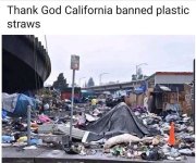 democrats95.JPG