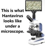 vax19.jpg