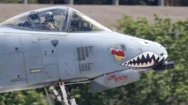 A-10-markings-2-King-Dedede-706x397.jpg.webp A-10-markings-2-King-Dedede-706x397.jpg.webp