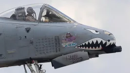 A-10-markings-9-Macho-Man-close-up-706x397.jpg.webp A-10-markings-9-Macho-Man-close-up-706x397.jpg.webp