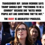 democrats122.jpg
