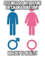 trans44.jpg