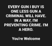 guns10.jpg