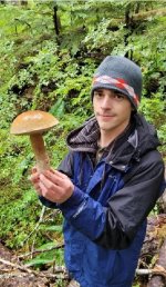 Mushroom.JPG