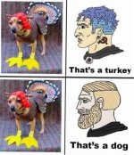 TurkeyDog.jpeg