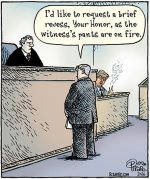 Pants on fire.jpg