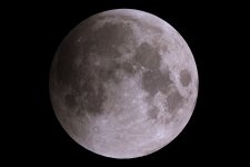 LunarEclipse-2022-11-08-IMG_6829S.jpg