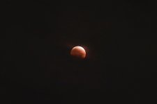LunarEclipse-2022-11-08-IMG_6856S.jpg