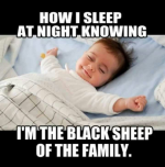 1668278242641.png