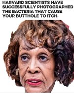 waters2.jpg