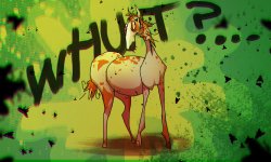 horse.jpg