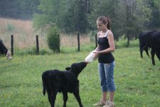 calf.jpg calf.jpg
