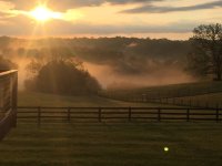 morning4.jpg morning4.jpg