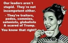 democrats213.jpg