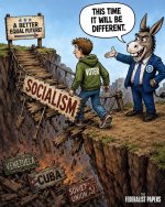 democrats208.jpg
