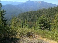 the mountains.50pct.jpg