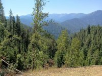 the mountains 2.50pct.jpg