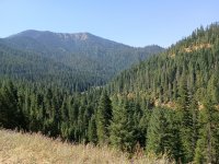 vista.50pct.jpg