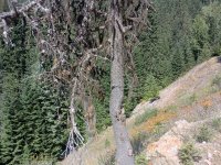 over the edge.40pct.jpg