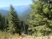 long way down.50pct.jpg