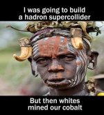 blm171.jpg