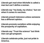 liberals79.jpg