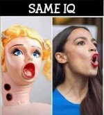 aoc6.jpeg