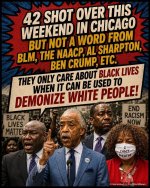 blm181.jpg