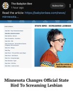 minnesota7.jpeg