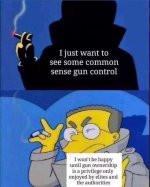 guns19.jpg