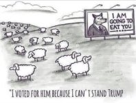 TDS.jpg