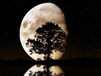 moon.jpg