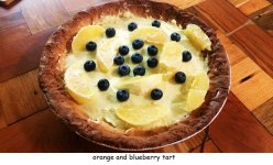 orange_and_blueberry_tart.jpg