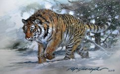 snow tiger.jpg