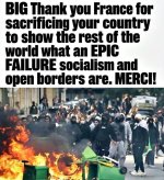 france28.jpg